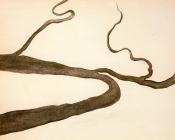 乔治亚奥基夫 - Drawing IX